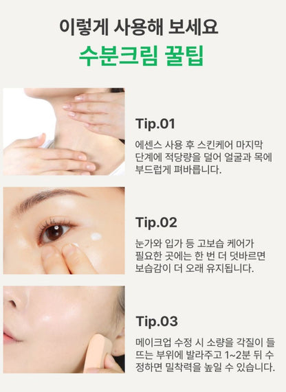 [Innisfree] Green Tea Seed Hyaluronic Cream – Soft Dewy Moisture Finish (80 ml)