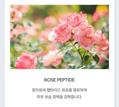 [HERA] Refreshing Cleansing Foam Soft Lather Facial Cleanser 160g