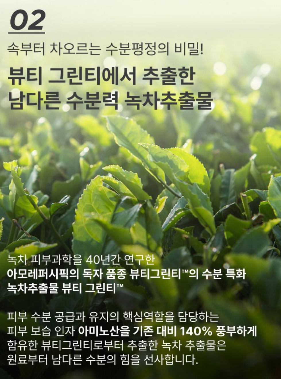 [Innisfree] Green Tea Seed Hyaluronic Cream – Lightweight Hydrating Glow Finish – 50ml
