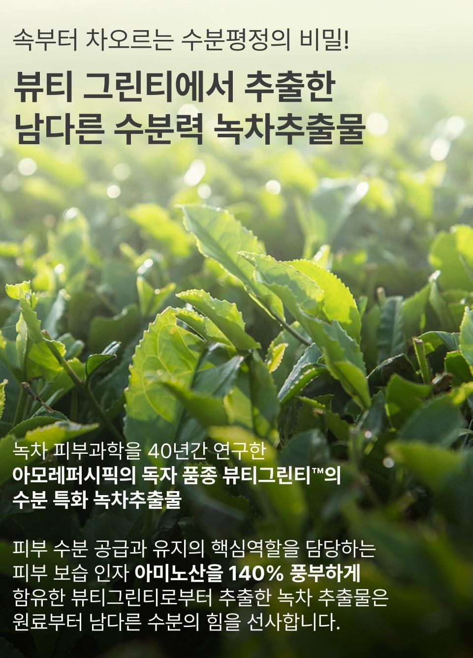 [Innisfree] Green Tea Seed Hyaluronic Moisture Serum Fresh Hydrating Finish 80ml + 25ml Set