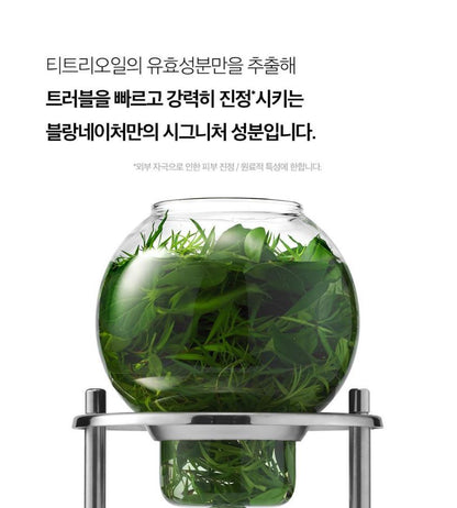 [Blanc Nature] Pore & Acne Cleansing Foam Creamy Refreshing Finish 150ml