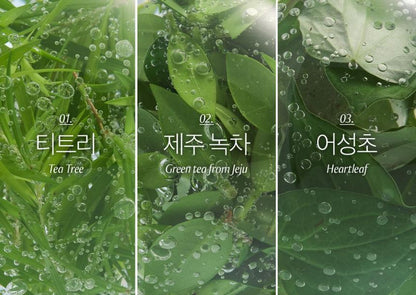 [Blanc Nature] Pore & Acne Cleansing Foam Creamy Fresh Finish Duo Set 150ml + 50ml