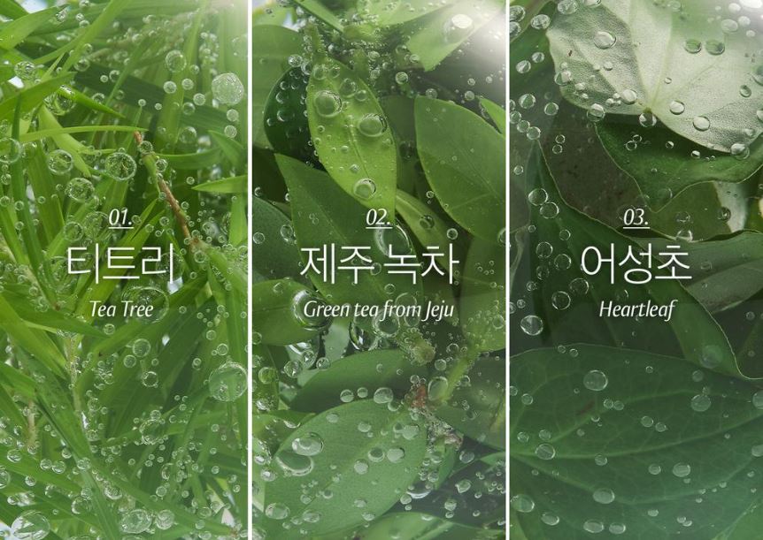 [Blanc Nature] Pore & Acne Cleansing Foam Creamy Refreshing Finish 150ml