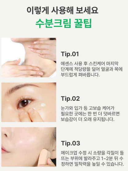 [Innisfree] Green Tea Seed Cream Double Set with Soft Dewy Hydration | 50ml × 2