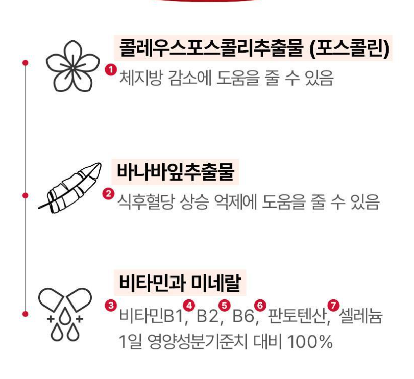 [FOODOLOGY] Coleology PRO with Coleus Forskohlii & Banaba Extract | Premium Botanical Formula | 60 Tablets | GlowLab