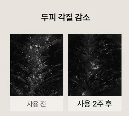 [Aromatica] Rosemary Root Enhancer 100ml | Scalp Strengthening & Hair Volume Care