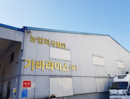 [Hwangsilmi-ga] ข้าวเกรียบเกาหลี (Ssal Nurungji) 1 กก. | ขนมข้าวกรอบแบบดั้งเดิม 