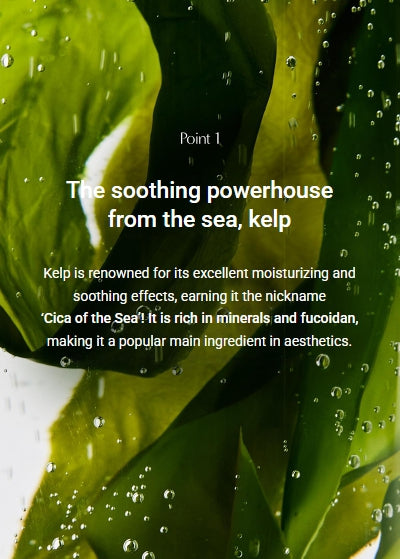 [BIODANCE] Refreshing Sea Kelp Real Deep Mask – Cooling Hydration & Balance Care | 7 Sheets