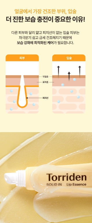 [Torriden] Solid-In Ceramide Lip Essence Soft Glow Moisture Duo Set 11ml x2