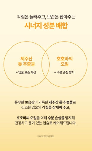 [Torriden] Solid-In Ceramide Lip Essence Soft Glow Moisture Duo Set 11ml x2