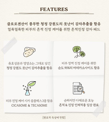 [SKINFOOD] Toner Pad Recipe Collection Hydrating & Radiant Finish 60–70 Pads