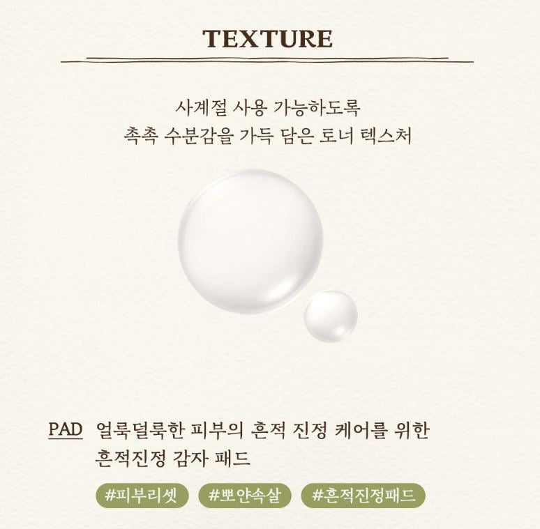 [SKINFOOD] Toner Pad Recipe Collection Hydrating & Radiant Finish 60–70 Pads