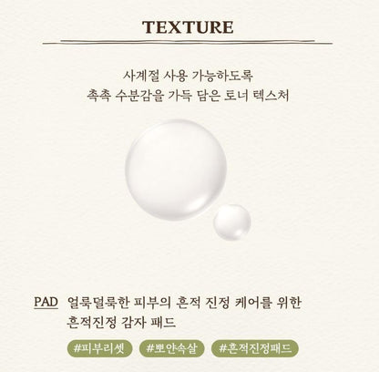 [SKINFOOD] Toner Pad Recipe Collection Hydrating & Radiant Finish 60–70 Pads