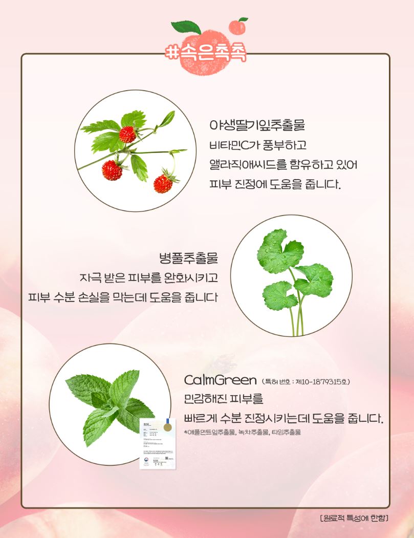 [SKINFOOD] Toner Pad Double Set Soft Comfort Finish 3 Types + Pouch