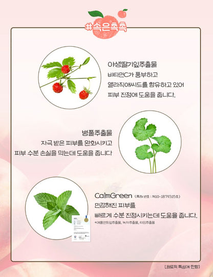 [SKINFOOD] Toner Pad Double Set Soft Comfort Finish 3 Types + Pouch