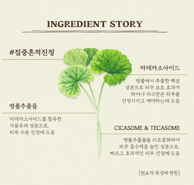 [SKINFOOD] Toner Pad Recipe Collection Hydrating & Radiant Finish 60–70 Pads