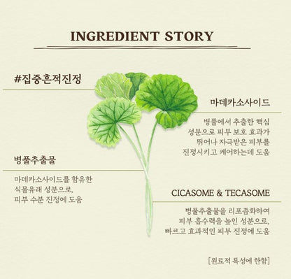 [SKINFOOD] Toner Pad Recipe Collection Hydrating & Radiant Finish 60–70 Pads