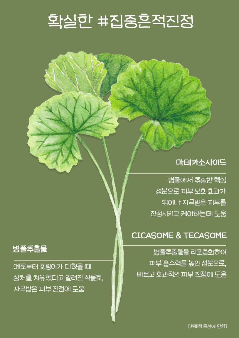 [SKINFOOD] Toner Pad Double Set Soft Comfort Finish 3 Types + Pouch