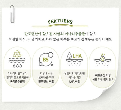 [SKINFOOD] Toner Pad Recipe Collection Hydrating & Radiant Finish 60–70 Pads