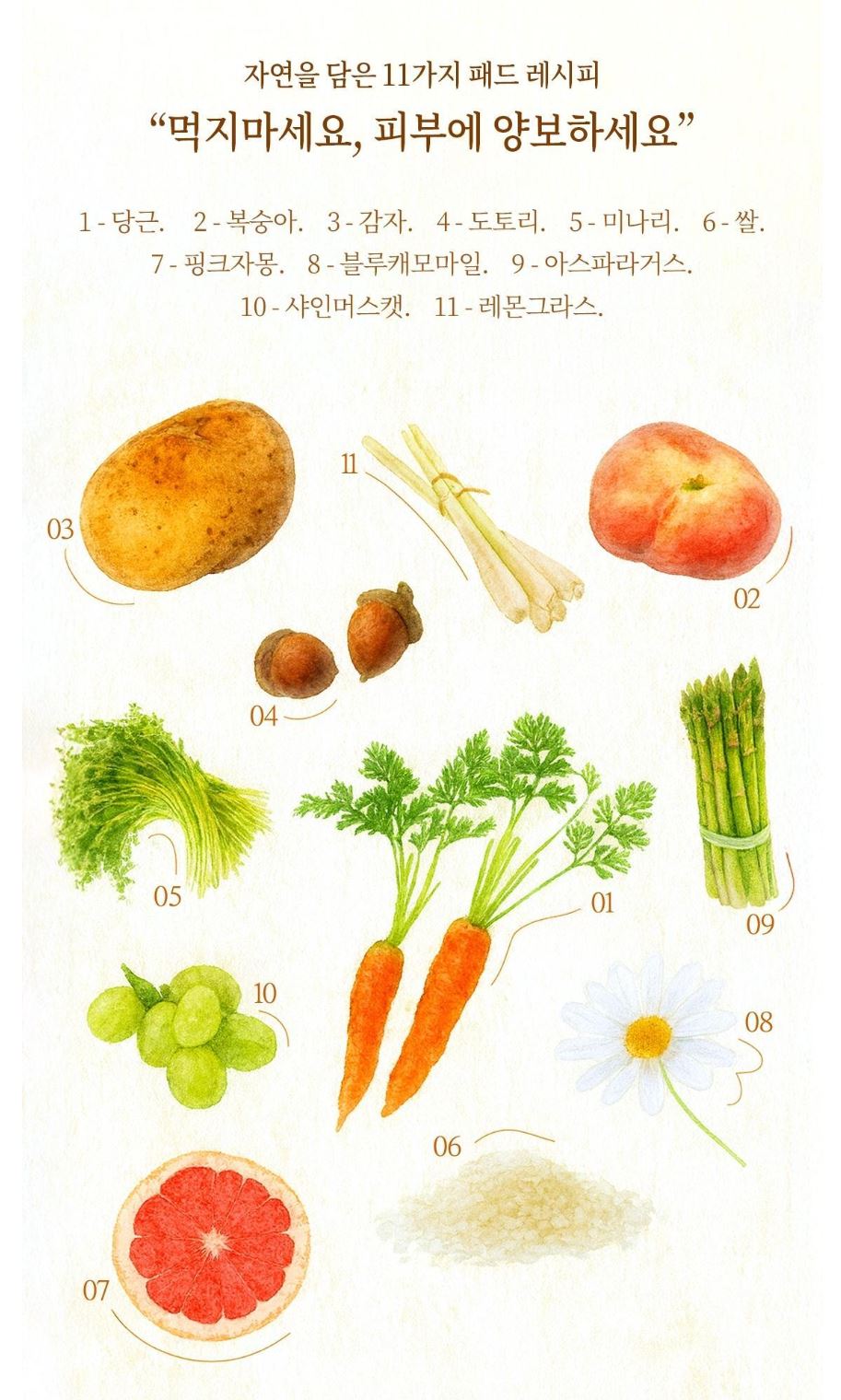 [SKINFOOD] Toner Pad Recipe Collection Hydrating & Radiant Finish 60–70 Pads