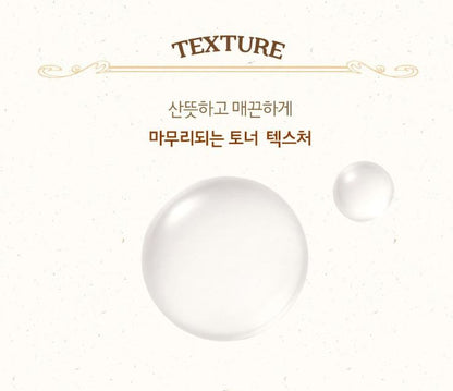 [SKINFOOD] Toner Pad Recipe Collection Hydrating & Radiant Finish 60–70 Pads