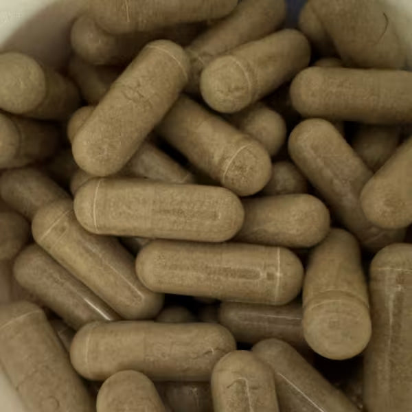 [Nutricost] Milk Thistle 1000mg Equivalent – Non-GMO & Vegan Supplement | 240 Capsules