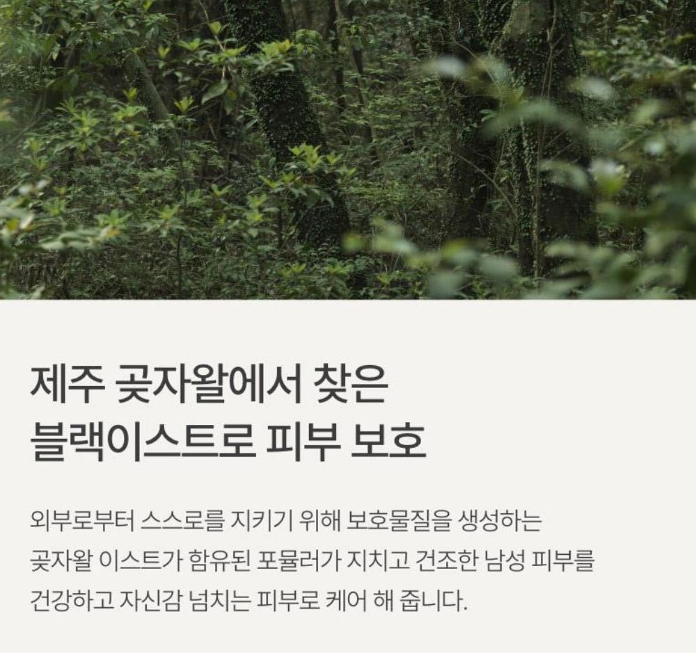 [Innisfree] Forest for Men Fresh Skin & Lotion Set with Hydrating Fresh Finish | 2-Piece + Cleansing Foam