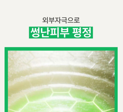 [Innisfree] Green Tea Seed Hyaluronic Cream – Soft Dewy Moisture Finish (80 ml)