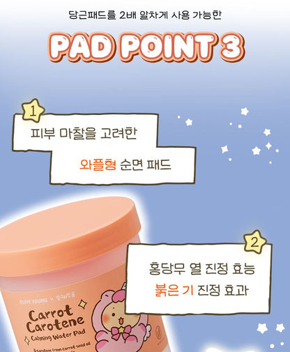 [SKINFOOD] Toner Pad Double Set Soft Comfort Finish 3 Types + Pouch