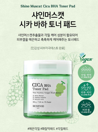 [SKINFOOD] Toner Pad Recipe Collection Hydrating & Radiant Finish 60–70 Pads