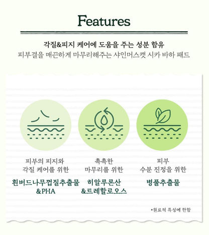 [SKINFOOD] Toner Pad Recipe Collection Hydrating & Radiant Finish 60–70 Pads