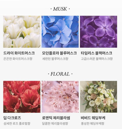 [MALCOM] pH-Balanced Allergy-Free Body Wash Hydrating Clean Finish 520ml (5 Scents)