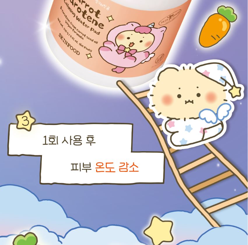 [SKINFOOD] Toner Pad Double Set Soft Comfort Finish 3 Types + Pouch