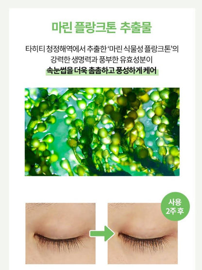 [Holika Holika] Lash Serum with Lightweight Water-Gel Finish – Essential Correcting Care 10ml