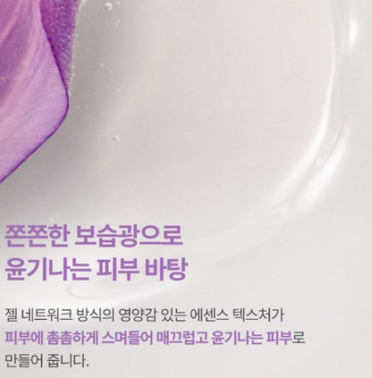 [Innisfree] Jeju Orchid Skin & Lotion Set with Soft Hydrating Finish | 170ml + 170ml