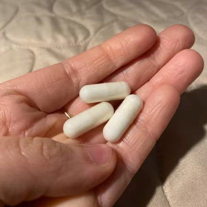 [EVLution Nutrition] L-Carnitine 500mg | Dietary Supplement for Active Lifestyle | 120 Capsules