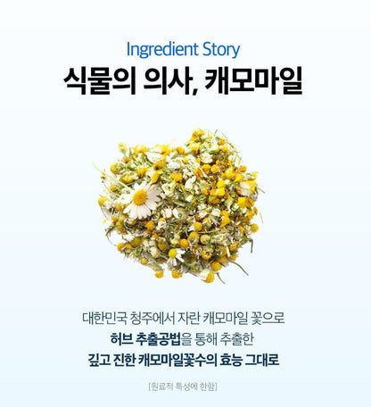 [SKINFOOD] Blue Chamomile Hyaluronic Cream Lightweight Hydrating Glow Set 100ml (70ml+30ml)