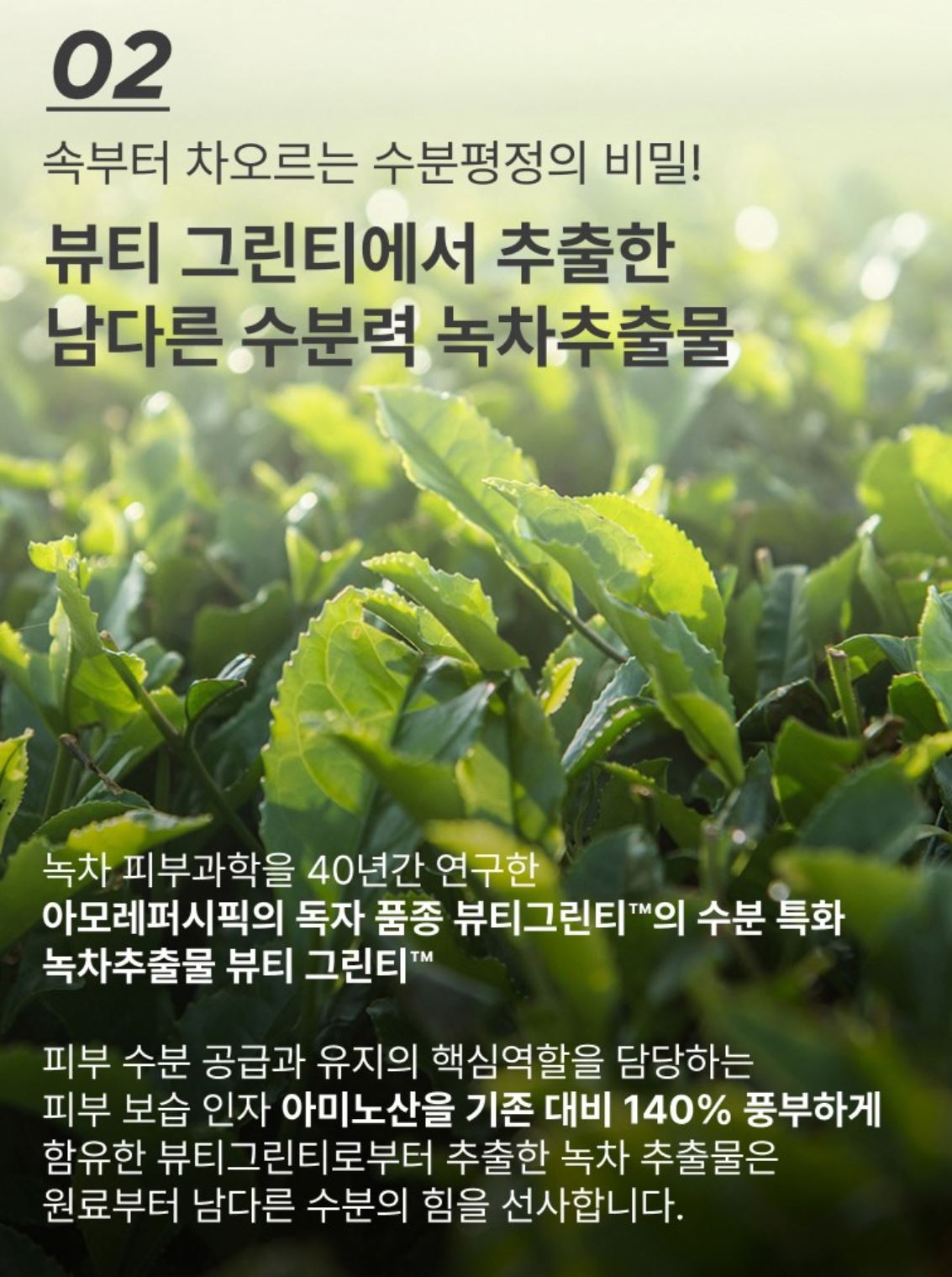 [Innisfree] Green Tea Seed Hyaluronic Cream – Soft Dewy Moisture Finish (80 ml)