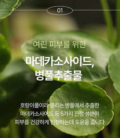 [Pyunkang Yul] Calming Moisture Barrier Cream Soft Hydrating Finish 50 ml