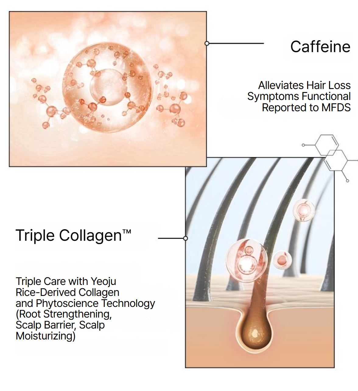 [Ryo] Damage Care & Nourishing Conditioner Floral Smooth Finish 480ml