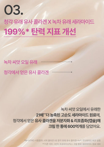 [Innisfree] Collagen Green Tea Ceramide Bounce Cream – Soft Hydrating Glow Finish 50ml