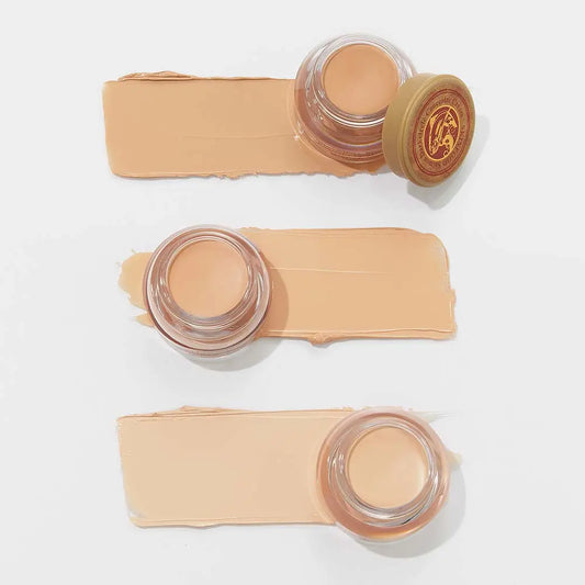 [SKINFOOD] Salmon Dark Circle Concealer Cream Natural Radiant Finish 10g