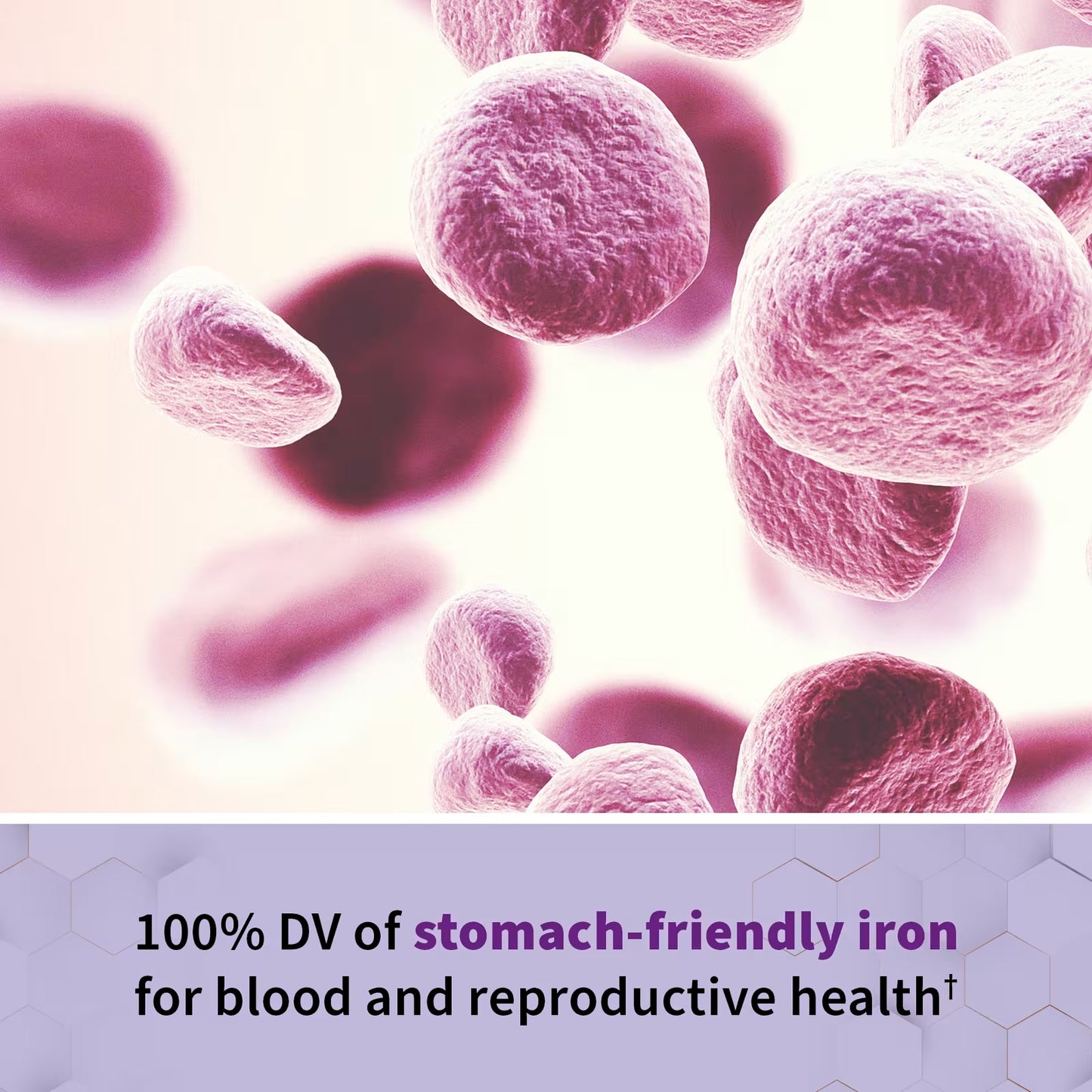 [Garden of Life] Vitamin Code RAW Prenatal – Whole Food Multivitamin Formula | 90 / 180 Vegetarian Capsules