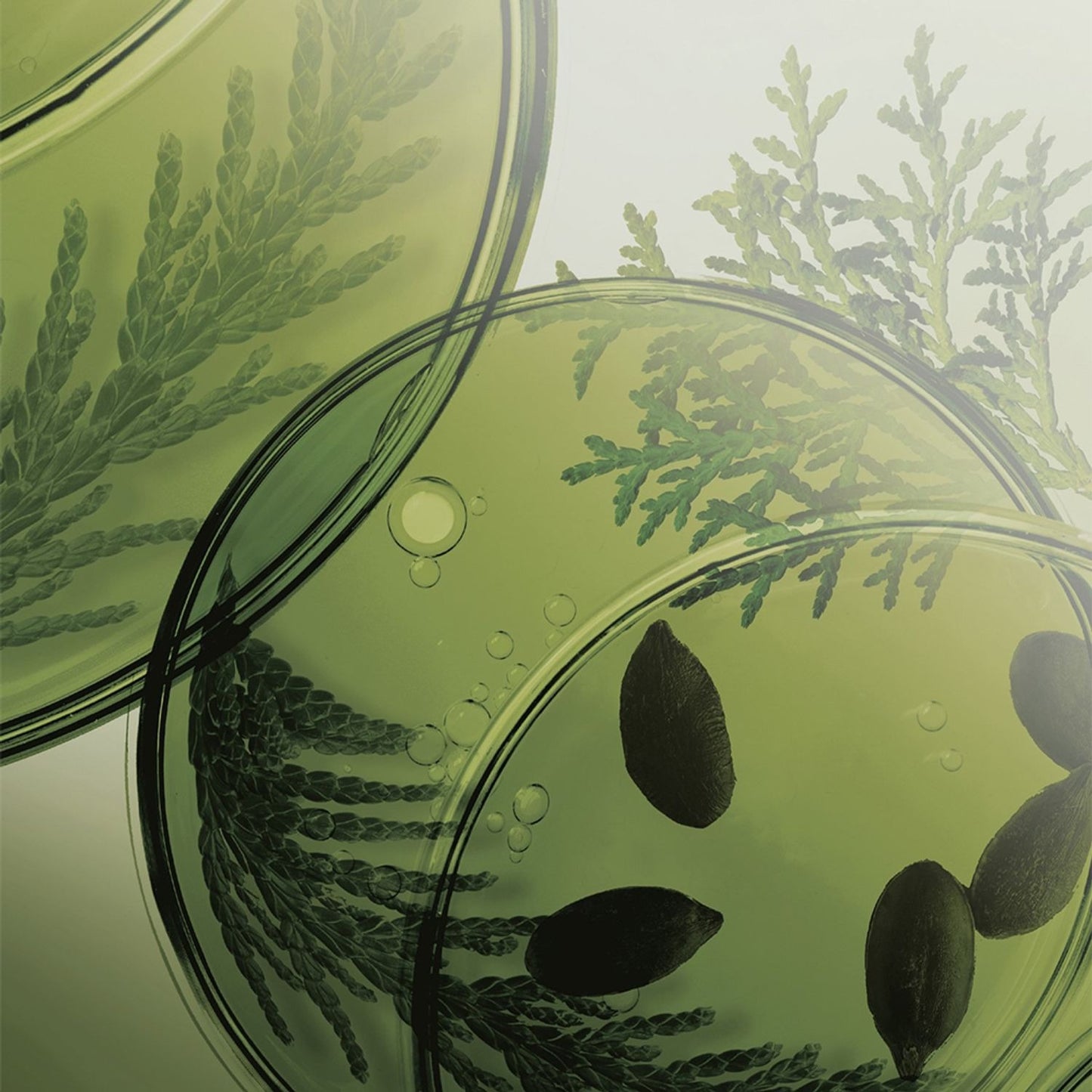 [Ryo] Volumizing Scalp Shampoo with Soft Herbal Lather – 353mL Double Pack