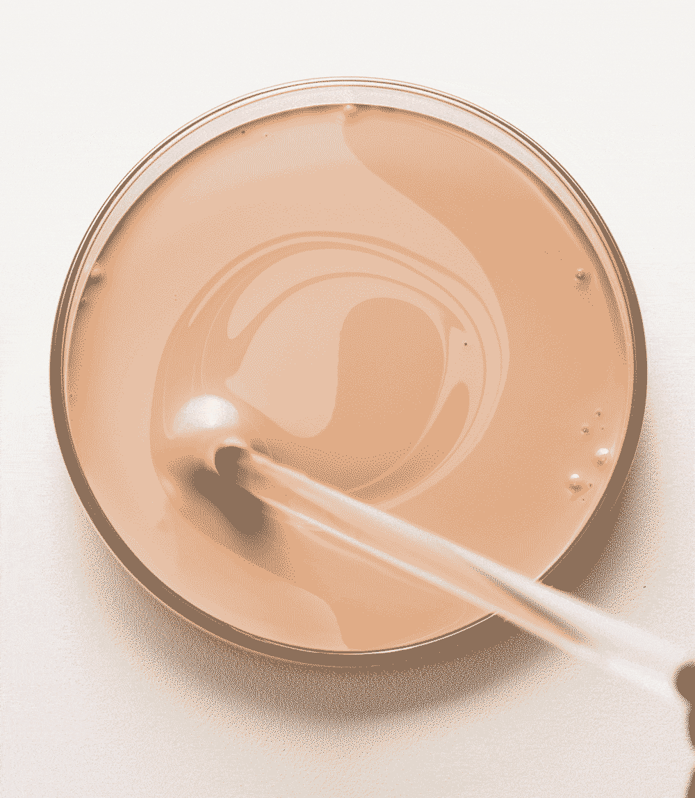 [Beauty of Joseon] Daily Tinted Fluid Sunscreen SPF50+ PA+++ Natural Radiant Finish 50ml by oliveYoung