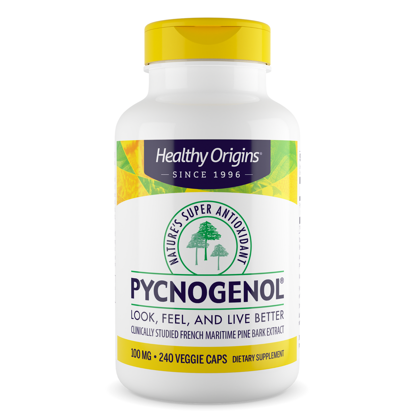 [Healthy Origins] Pycnogenol 100mg | Dietary Supplement with Pine Bark Extract | 240 Veggie Capsules