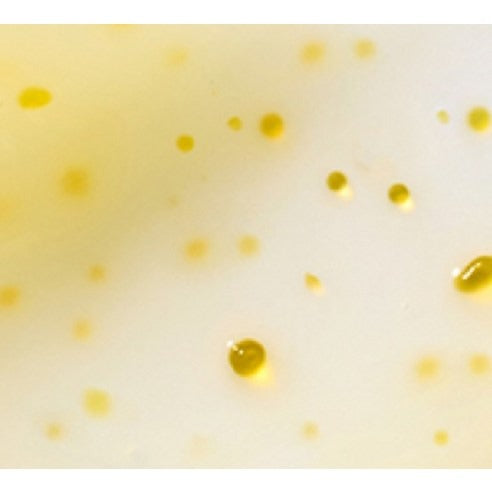 [Innisfree] Vitamin C Capsule Moisture Cream – Soft Radiant Finish – 50 ml