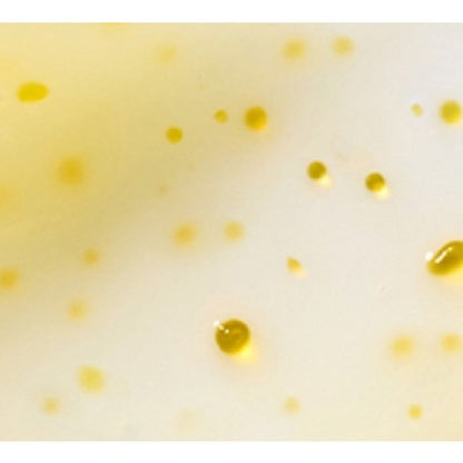 [Innisfree] Vitamin C Capsule Moisture Cream – Soft Radiant Finish – 50 ml