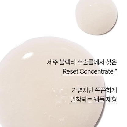 [Innisfree] Black Tea Ampoule with Dewy Radiant Finish 30ml