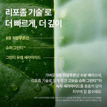 [Innisfree] Green Tea Ceramide Milk Essence – Soft Hydrating Finish – 160ml + 25ml | Olive young